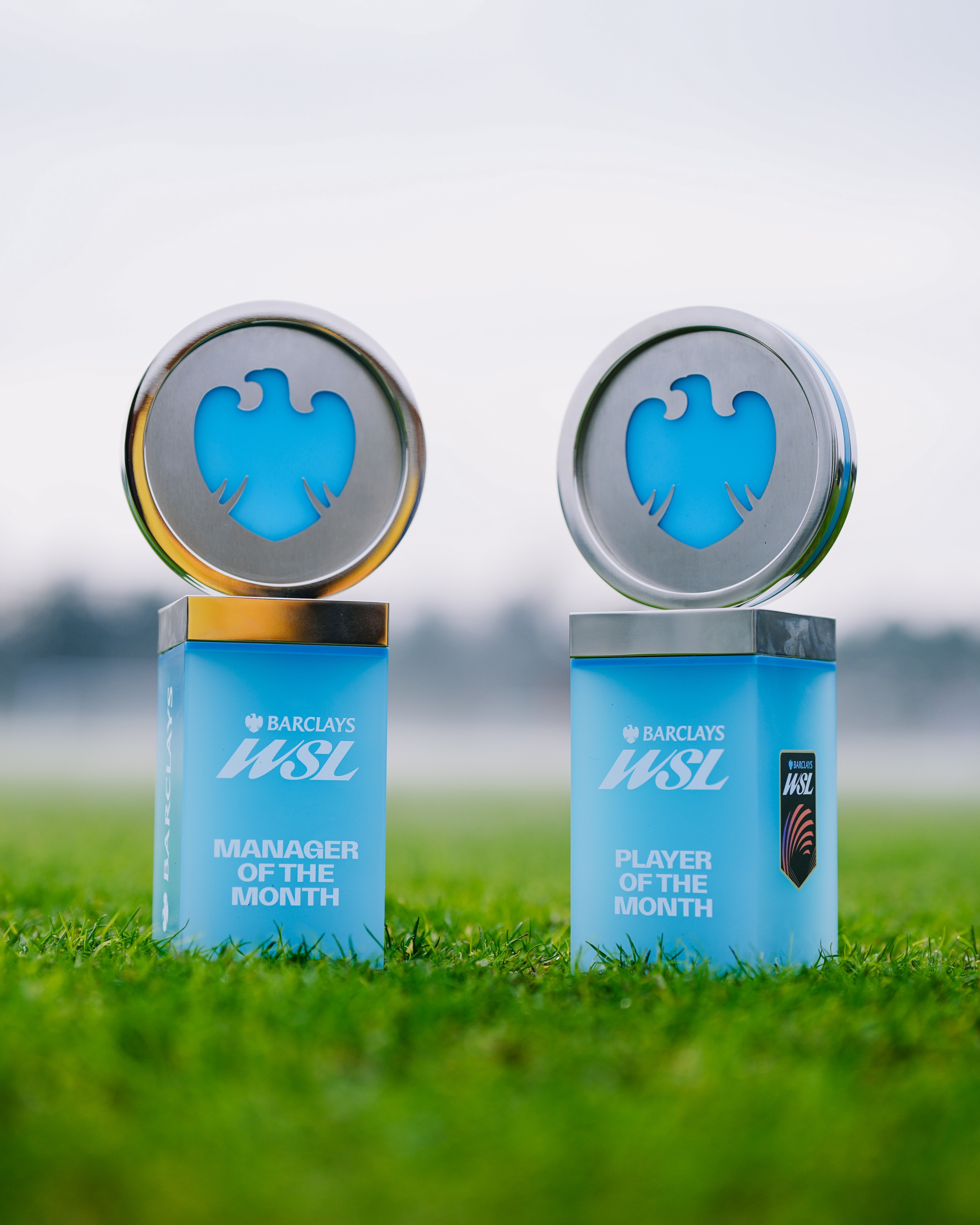 Manchester City duo swoop two Barclays WSL December awards.
